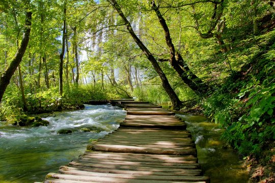 Boardwalk through the lush water landscape of Plitvice Lakes National Park, Croatia