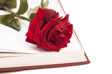 open book and red rose