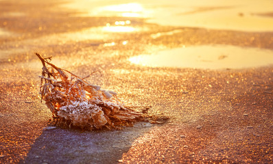 Salt Lake Baskunchak at sunrise, Russia