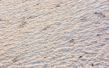 Salt Lake Baskunchak, Russia