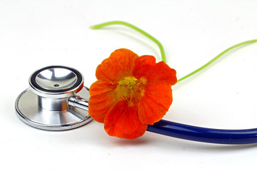 Stethoscope with Nasturtium flower.