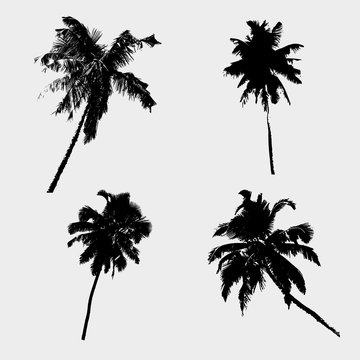 various tropical palm tree black symbols eps10