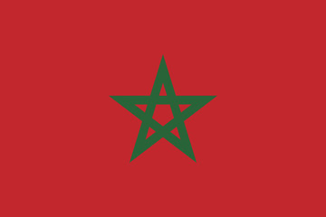 Morocco flag button vector