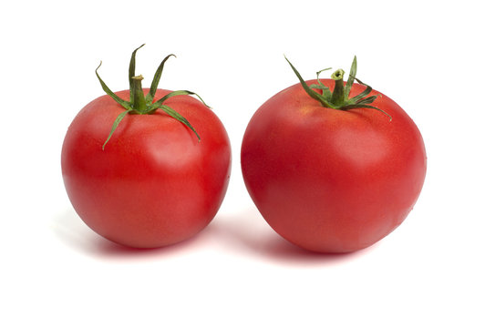 tomatos isolated