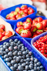 Frische Erdbeeren und Blaubeeren in Schalen