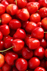 Sweet ripe cherry background