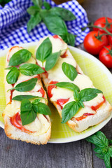 Pizza margherita on french baguette. Rustic style