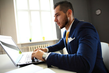 Naklejka premium Handsome businessman working with laptop in office
