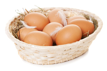Fresh organic eggs