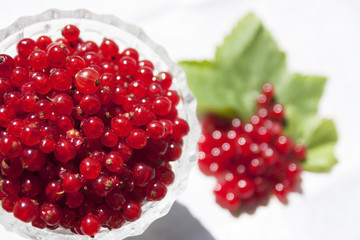 Berries on the table