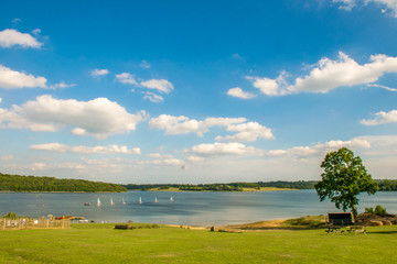 Bewl reservoir landscape