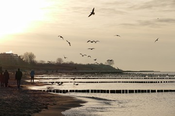 Abendstimmung am Meer