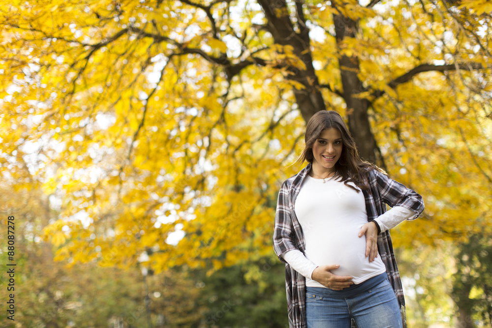 Poster Pregnant woman in the autumn park