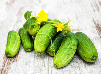 Fresh cucumbers
