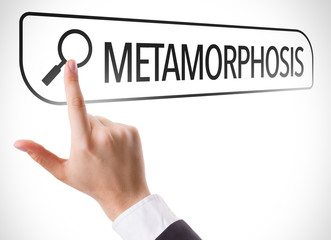 Metamorphosis written in search bar on virtual screen