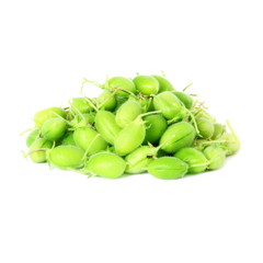 green young chickpeas pod on pure white background
