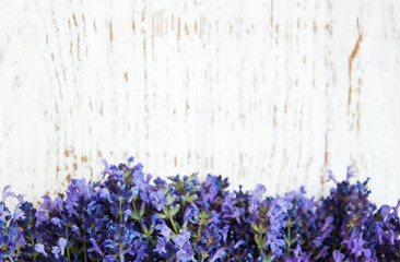 Panele Szklane Podświetlane  kwiaty lawendy