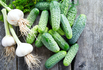 fresh cucumbers on wooden table