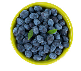 Honeysuckle berries in  a bowl isolated on white