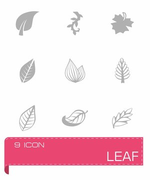 Vector Leaf Icon Set