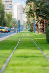 Obraz premium tram railways closeup decorated by green grass