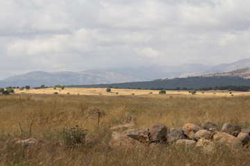 Israel Golan height summer  mountain view