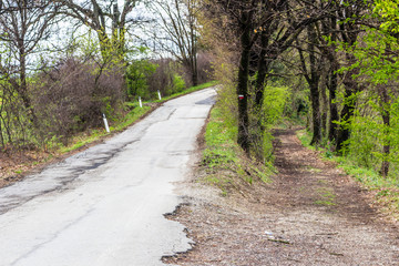 road through peaceful green fields on rolling hills