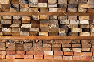 Obraz premium Cross section of sawn timber