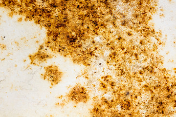 Rusty Metal Background