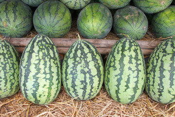 green melon