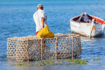 pêcheur au casier, île Rodrigues, Maurice © Unclesam