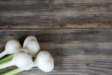 fresh garlic bulbs with long stalk on wood table with copy space