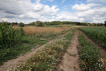 Chemin