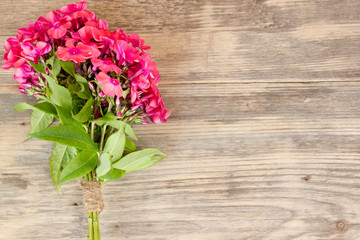 flowers phlox on wooden background