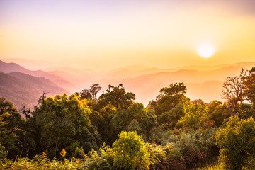 National Park Landscape 