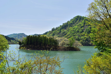 荒沢ダム（山形県鶴岡市）／荒沢ダムは朝日連峰・以東岳にその源を発し、日本海に注ぐ一級河川・赤川の上流に位置しています。総貯水容量は県内最大規模で、洪水調節及びかんがい用水、水力発電に貢献しています。このダムの建設により、荒沢集落42戸200余名の移転、水田、畑、山林等1.89平方キロメートルが水没しました。埋没林は独特の景観を創り出しています。