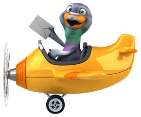 Fun pigeon