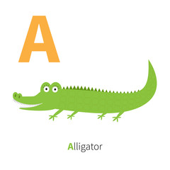 Letter A Alligator Zoo alphabet. English abc with animals Education cards for kids Isolated White background Flat design