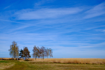 Obraz premium Am Bodden