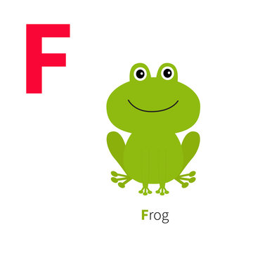 Letter F Frog Zoo alphabet. English abc with animals Education cards for kids Isolated White background Flat design