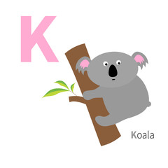 Letter K Koala Zoo alphabet. English abc with animals Education cards for kids Isolated White background Flat design