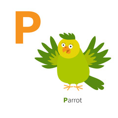 Letter P Parrot Zoo alphabet. English abc with animals Education cards for kids Isolated White background Flat design