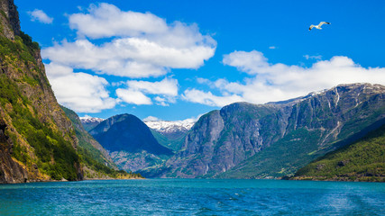 Sognefjord Panorama in Norway