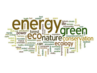 Conceptual ecology word cloud