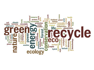 Conceptual ecology word cloud