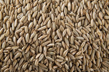 grains