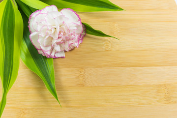 Flower and leaf on wood backgrounds