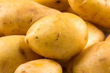 New potato isolated