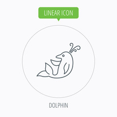 Dolphin icon. Cetacean mammal sign.