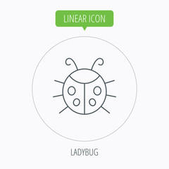 Ladybug icon. Ladybird insect sign.